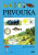 Prvouka pro 3.ročník ZŠ - učebnice - Pavel Augusta