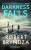 Darkness Falls - Robert Bryndza
