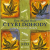 Čtyři dohody - Don Miguel Ruiz