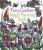 Fairy Gardens Magic Painting Book - Lesley Sims
