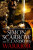 Warrior - Simon Scarrow
