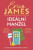 Ideální manžel - Erica James
