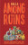 Among the Ruins - David Balla