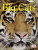 Bug Club Independent Non Fiction Year 3 Brown B Big Cats - Walker Sarah