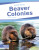 Beaver Colonies - LAURA PERDEW