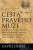 Cesta pravého muže - David Deida