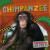 Chimpanzee - E.C. Andrews