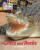 BIG CAT LW L&S _CROCS ROCKS - Teresa Heapy