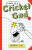 Diary of a Cricket God - Shamini Flint,Sally Heinrich