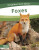 Foxes - Dalton Rains