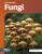 Fungi - Brienna Rossiter