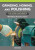 Grinding, Honing and Polishing - Stan Bray