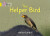 BIG CAT - HELPER BIRD - Anita Ganeriová