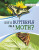 Is It a Butterfly or a Moth? - Susan B. Katz