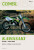 Kawasaki KX250 Motorcycle (1992-2000) Service Repair Manual Service Repair Manual - Haynes Publishing