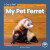 My Pet Ferret - Brienna Rossiter