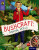 Oxford Reading Tree TreeTops inFact: Level 11: Bushcraft: Survival Skills - Greg Foot,Ian Brember
