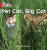 BIG CAT PHONICS - PET CAT BIG - Alison Hawes