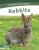 Rabbits - Dalton Rains