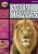 Rapid Reading: Big Cats Small Cats (Stage 1, Level 1A) - Dee Reid