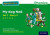 Read Write Inc. Phonics: My Dog Ned (Green Set 1 Storybook 2) - Gill Munton