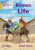 Roman Life - Liz Miles