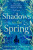 A brand-new, gripping, time-slip romance, filled with adventure and vivid historical detail! - Christina Courtenay