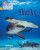 Sharks - Ben Hubbard