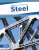 Steel - Trudy Becker