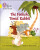BIG CAT PHONICS - TIMID RABBIT - Lou Kuenzlerová