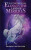 The Unicorn Stone: Elena in the Land of Mirrios - Rosemary May Davison