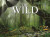 The Wild - Claudia Martin