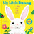 This Little Bunny (Touch  Feel CBB) - Kate Daubney