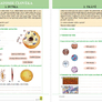 Přírodopis 8 - Biologie člověka (barevný pracovní sešit) 4