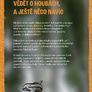 05095_laska je na houby_zadni