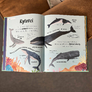 IMG_2580 Usínáme se zvířaty