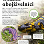Moderní encyklopedie pro děti - Zvířata4