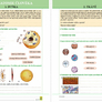 Přírodopis 8 - Biologie člověka (barevný pracovní sešit) 4