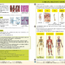 Přírodopis 8 - Biologie člověka (učebnice) (8-30) 3