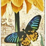 Záložka Paperblanks - Golden Fritillaria 2