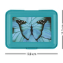 BAAGL Box na svačinu Butterfly