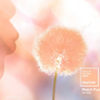 PANTONE Hrnek Espresso - Peach Fuzz 13-1023 (barva roku 2024)