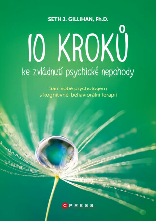 10 kroků ke zvládnutí psychické nepohody - PhD.,Seth J. Gillihan