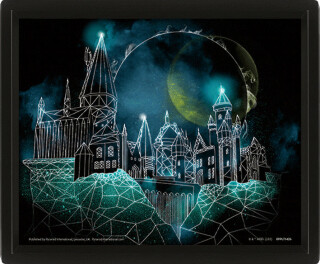 Harry Potter Obraz 3D - Bradavice - neuveden