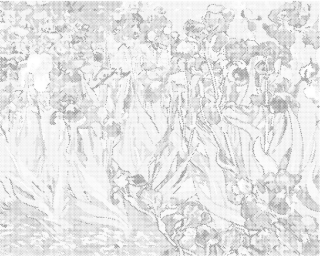 Tečkování - KOSATCE (VAN GOGH) - 