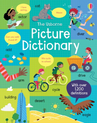 Picture Dictionary - Felicity Brooks,Caroline Youngová