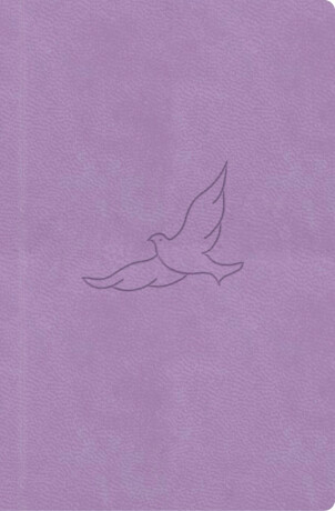 Bible21 - kapesní - neuveden