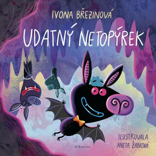 Udatný netopýrek - Ivona Březinová