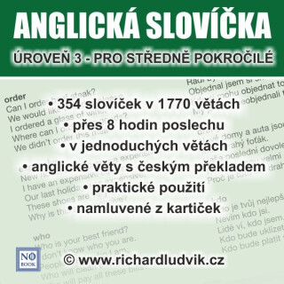 Anglická slovíčka - úroveň 3 pro středně pokročilé - Ludvík Richard