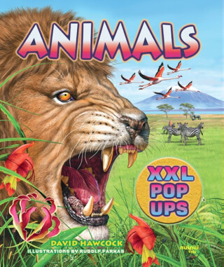 Animals XXL pop-ups - David Hawcock